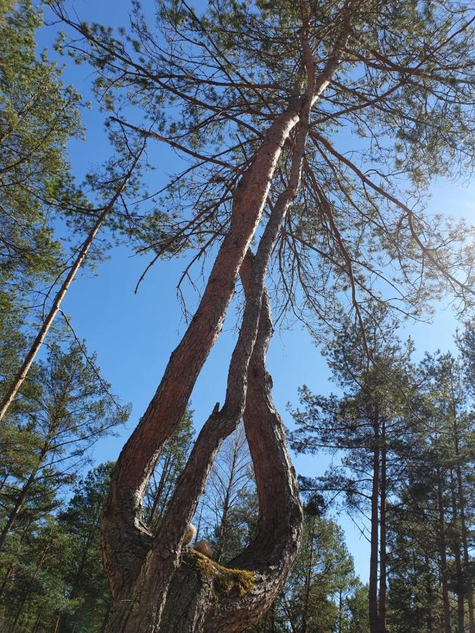 Skrawek Nieba Borsk Villa Luaran gambar